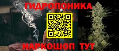a pvp Новозыбков