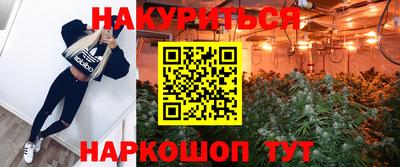 стафф Новодвинск