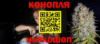 стафф Новодвинск