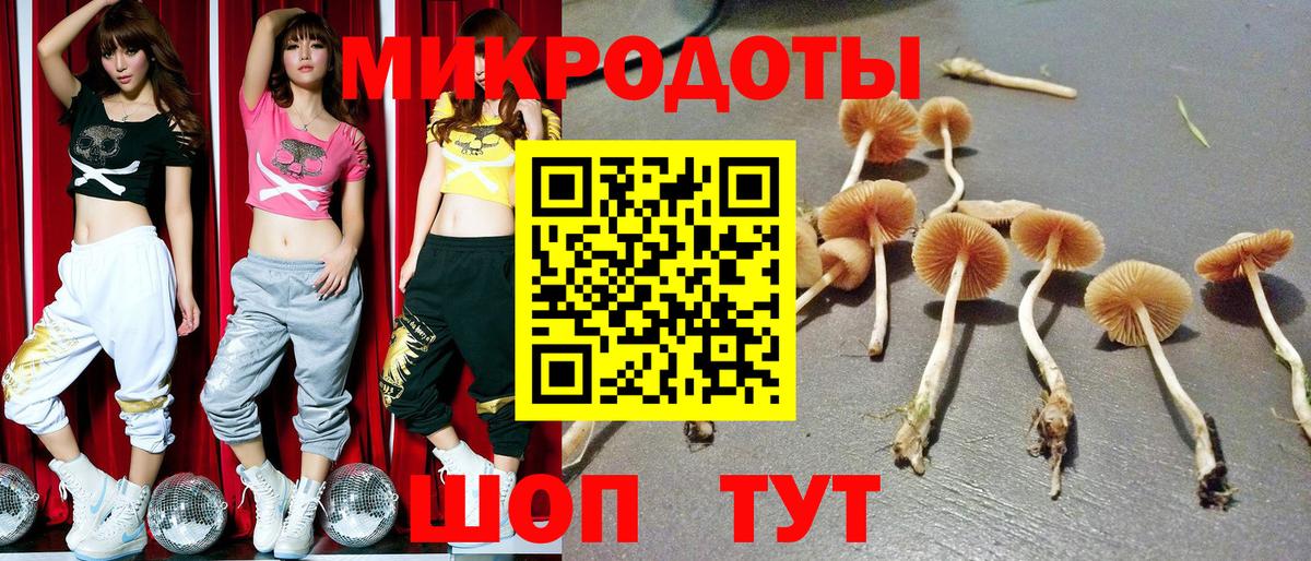 Псилоцибиновые грибы ЛСД Сердобск