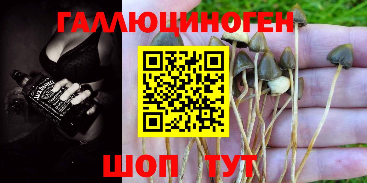 Сердобск  Галлюциногенные грибы Cubensis  закладки  Вход с VPN 